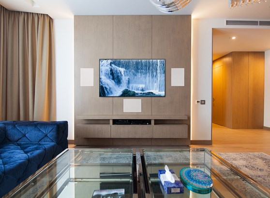 MartinLogan IW5-LCR - cecha 2