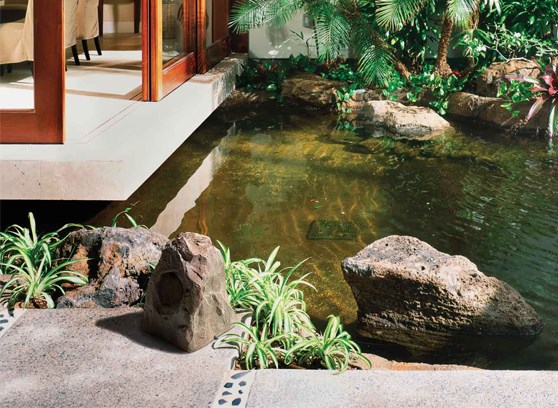 MartinLogan ML-65R - cecha 2