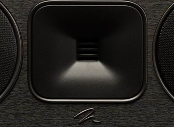 MartinLogan Motion Foundation C1 - cecha 1