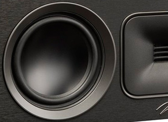 MartinLogan Motion Foundation C1 - cecha 2