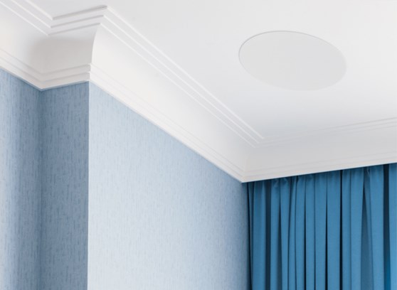 MartinLogan Motion MC6 - cecha 3