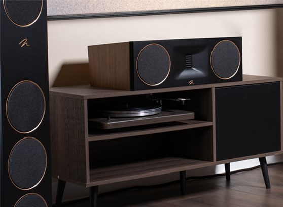 MartinLogan Motion XT C100 - cecha 3