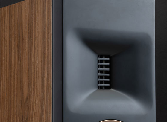 MartinLogan Motion XT F100 - cecha 1