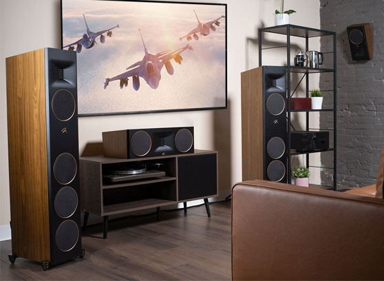 MartinLogan Motion XT F200 - cecha 3