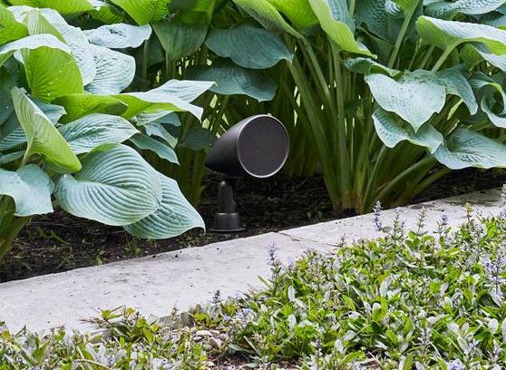 MartinLogan Outdoor Sat 40 - cecha 1