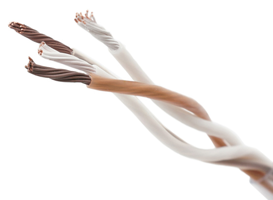 Melodika BSBW225 - cecha 1