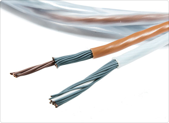 Melodika Brown Sugar BSC2380 - cecha 1