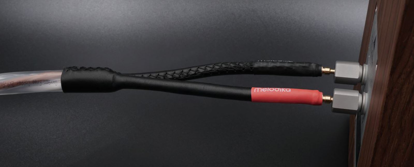 Melodika Brown Sugar BSSC95 - lifestyle