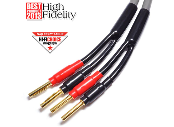 Melodika MDSC25G - cecha 1