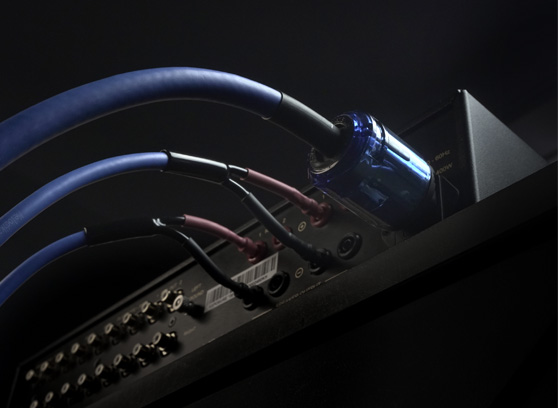 Melodika SBP Sky Blue - cecha 2