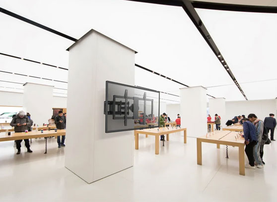 Neomounts LFD-W8000 - cecha 1