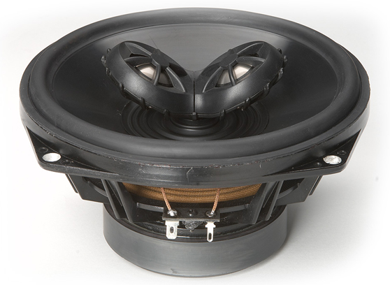 Paradigm Rock Monitor 60-SM - cecha 1