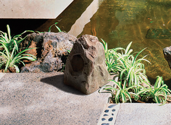 Paradigm Rock Monitor 80-SM - cecha 1