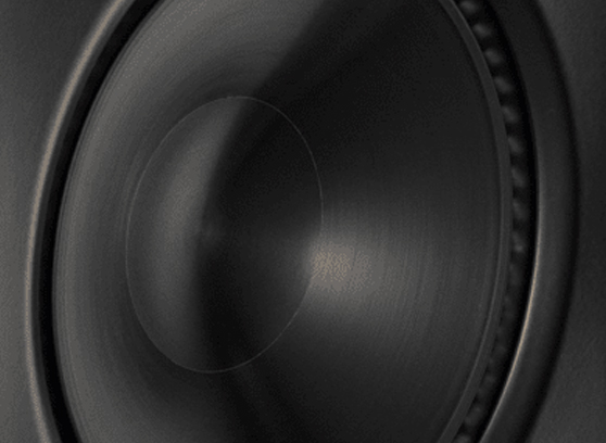 Paradigm CI Elite E80-IW - cecha 1