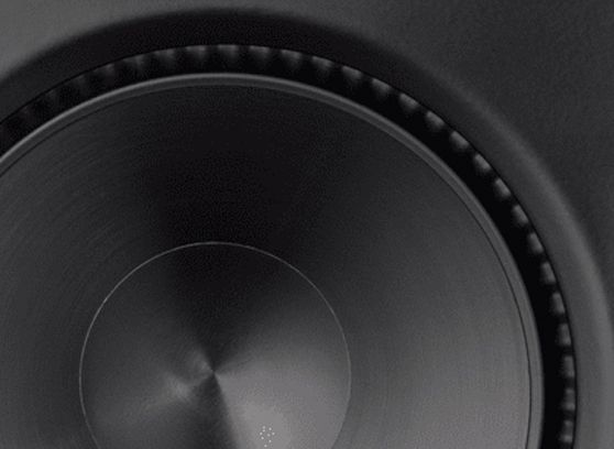 Paradigm CI Elite E80-IW - cecha 3
