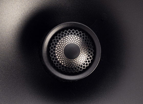Paradigm CI Home H55-R v2 - cecha 1