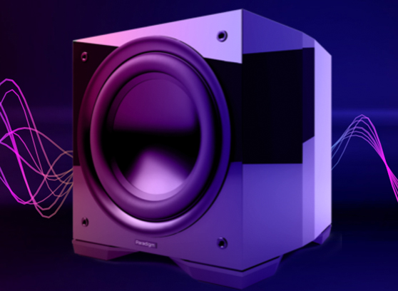 Paradigm Defiance S10 - cecha 2