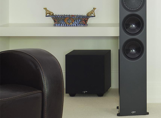 Paradigm Defiance V8 - cecha 1