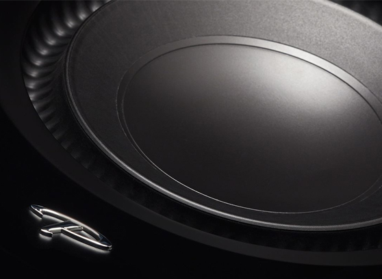 Paradigm Defiance X10 - cecha 1