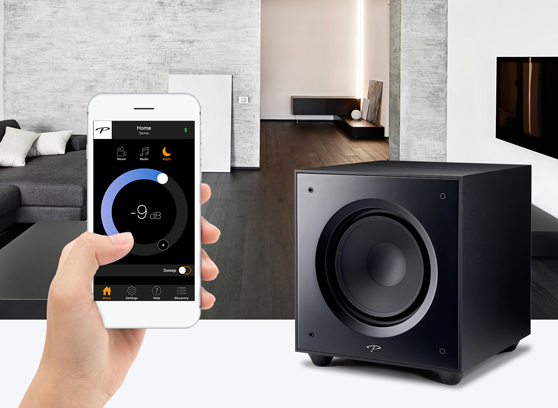 Paradigm Defiance X10 - cecha 2