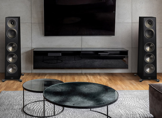 Paradigm Founder 100F - cecha 1