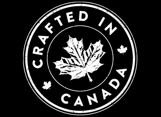 Paradigm Founder 100F - cecha 5