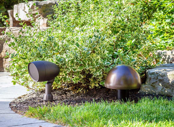 Paradigm GO12SW Garden Oasis - cecha 1
