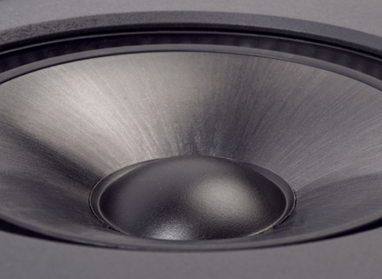 Paradigm P65-RX v2 - cecha 2