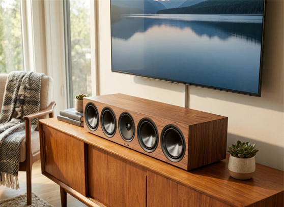 Paradigm Premier 620C - cecha 1