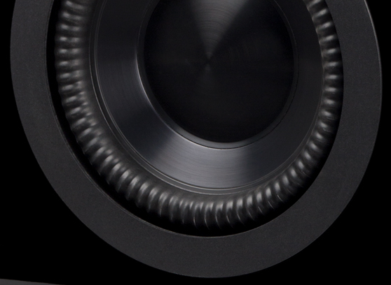 Paradigm Prestige 1000SW - cecha 1