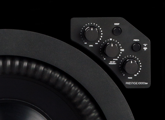 Paradigm Prestige 1000SW - cecha 4