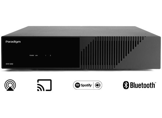 Paradigm SVX-1202 - cecha 2