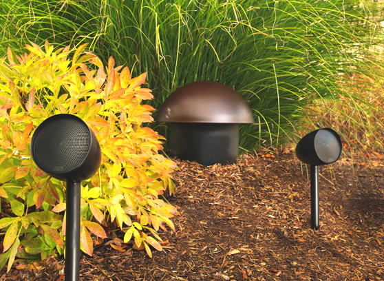 Paradigm Garden Oasis Sub 8 - cecha 1