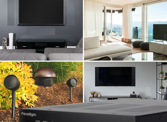 Paradigm X-500 - cecha 2