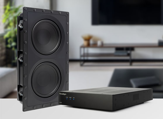 Paradigm X-500 - cecha 3