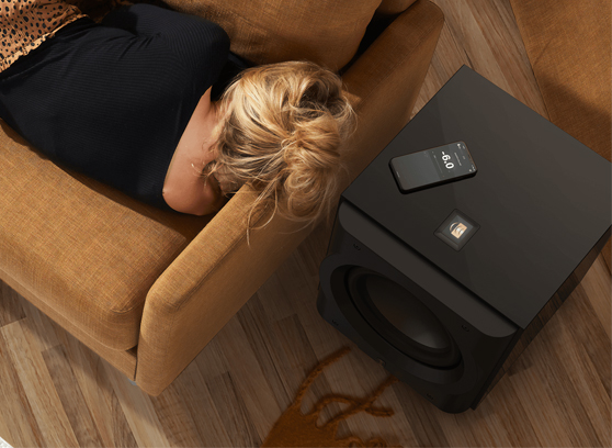 Perlisten D12s - cecha 2