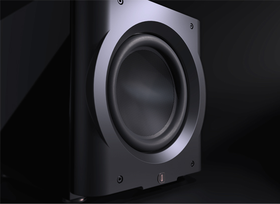 Perlisten D12s - cecha 3