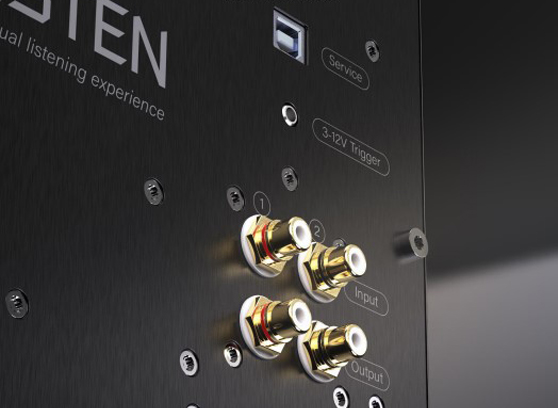 Perlisten D215s - cecha 2