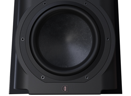 Perlisten R4b - cecha 2