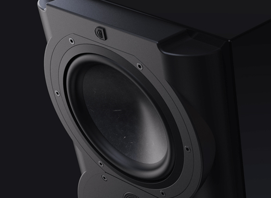 Perlisten R4s - cecha 2