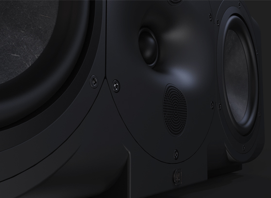 Perlisten R5c - cecha 1