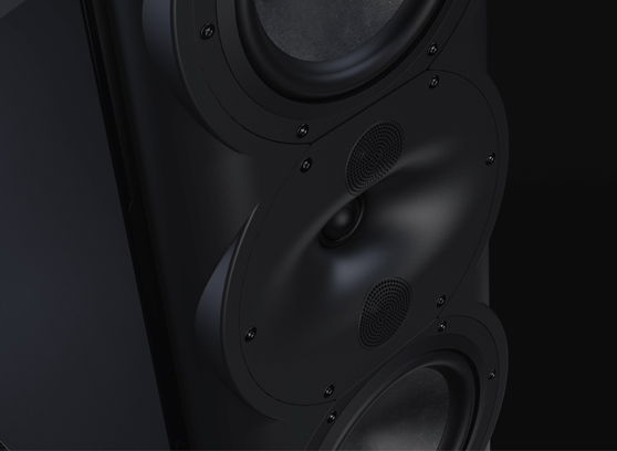 Perlisten R5m - cecha 1