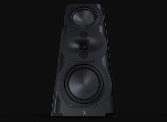 Perlisten R5m - cecha 2