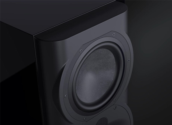 Perlisten R5t - cecha 2