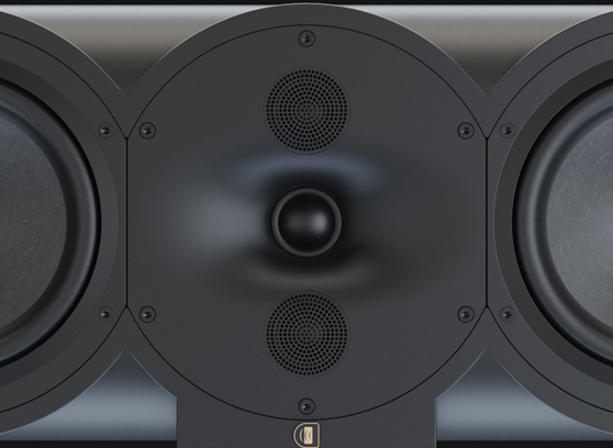 Perlisten R7c - cecha 1