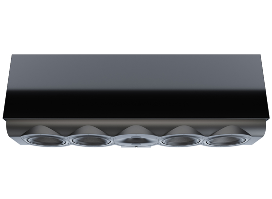 Perlisten R7c - cecha 3