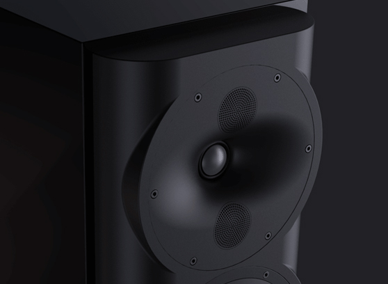 Perlisten S4b - cecha 1