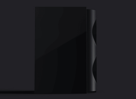 Perlisten S4b - cecha 4