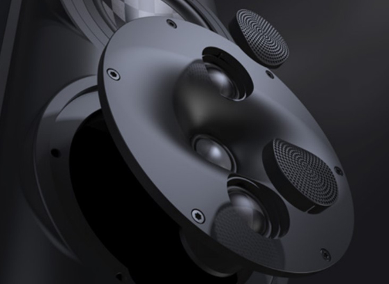 Perlisten S5i-LR - cecha 1