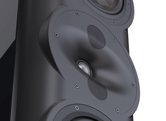 Perlisten S5t - cecha 1